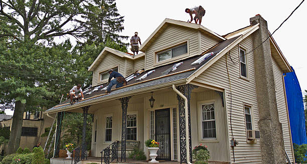 Best Gutter Installation and Roofing  in Lake Kiowa, TX